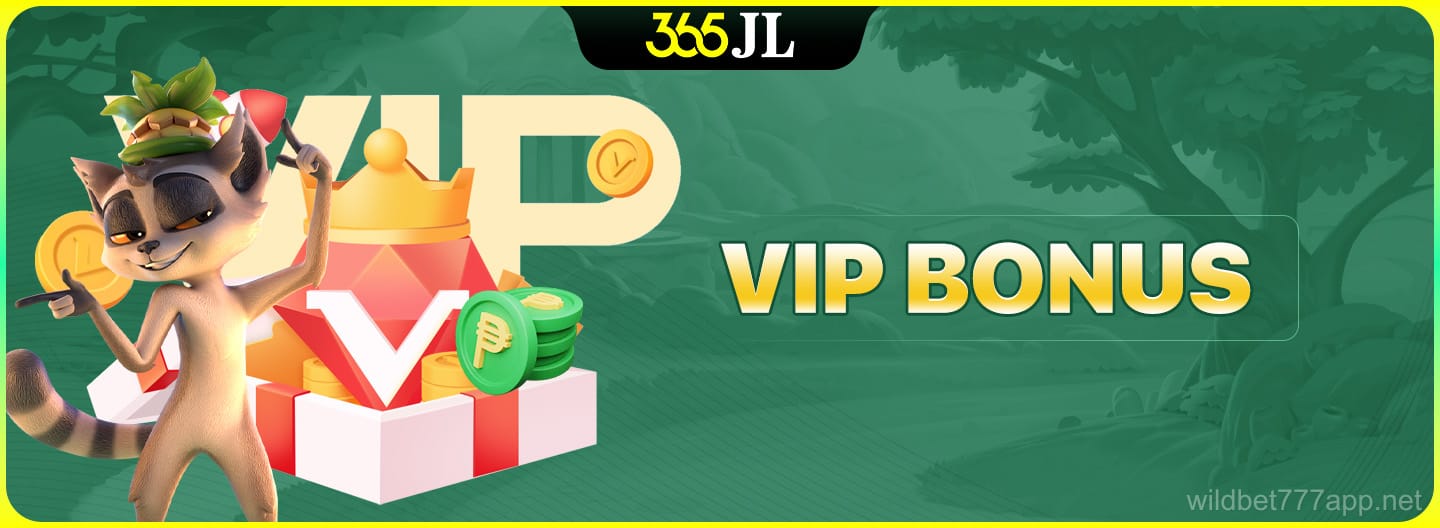 VIP Bonus Promotion